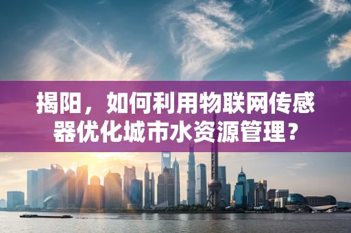 揭阳，如何利用物联网传感器优化城市水资源管理？