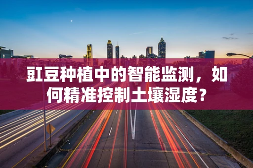 豇豆种植中的智能监测，如何精准控制土壤湿度？