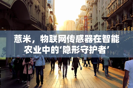 薏米，物联网传感器在智能农业中的‘隐形守护者’