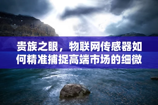 贵族之眼，物联网传感器如何精准捕捉高端市场的细微需求？
