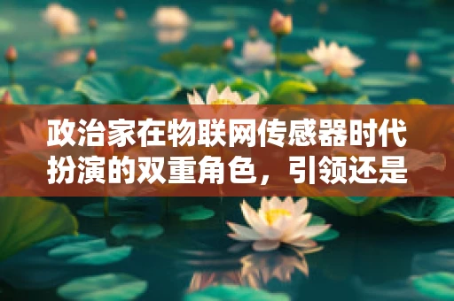 政治家在物联网传感器时代扮演的双重角色，引领还是滞后？