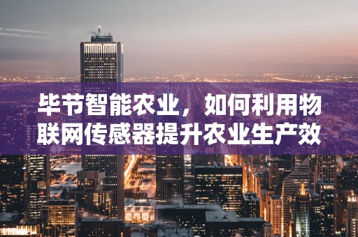 毕节智能农业，如何利用物联网传感器提升农业生产效率？