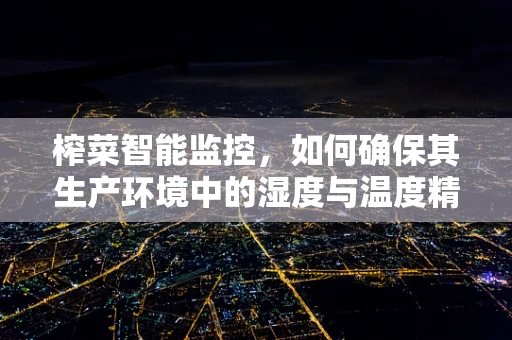 榨菜智能监控，如何确保其生产环境中的湿度与温度精准控制？