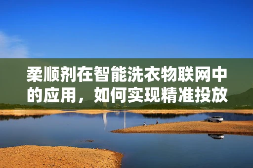 柔顺剂在智能洗衣物联网中的应用，如何实现精准投放与效果最大化？