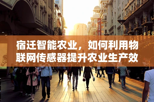 宿迁智能农业，如何利用物联网传感器提升农业生产效率？
