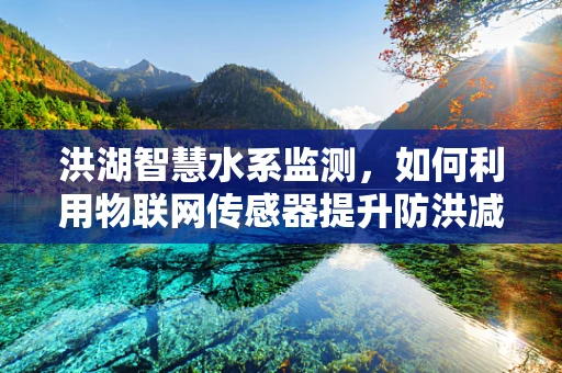 洪湖智慧水系监测，如何利用物联网传感器提升防洪减灾能力？