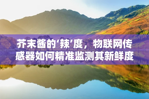 芥末酱的‘辣’度，物联网传感器如何精准监测其新鲜度与质量？