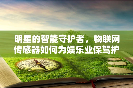 明星的智能守护者，物联网传感器如何为娱乐业保驾护航？