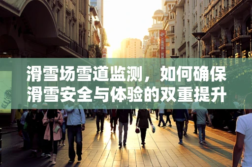 滑雪场雪道监测，如何确保滑雪安全与体验的双重提升？