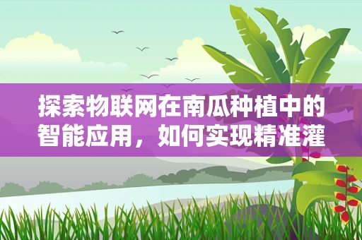 探索物联网在南瓜种植中的智能应用，如何实现精准灌溉？