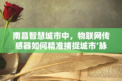 南昌智慧城市中，物联网传感器如何精准捕捉城市‘脉动’？