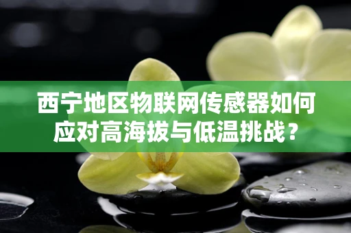 西宁地区物联网传感器如何应对高海拔与低温挑战？