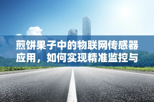 煎饼果子中的物联网传感器应用，如何实现精准监控与优化？