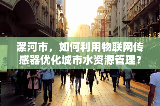 漯河市，如何利用物联网传感器优化城市水资源管理？