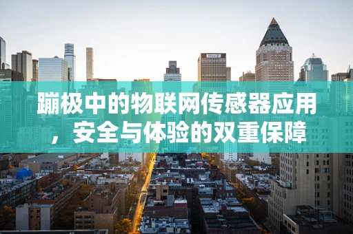 蹦极中的物联网传感器应用，安全与体验的双重保障