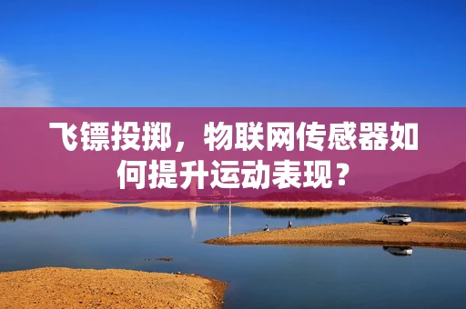 飞镖投掷，物联网传感器如何提升运动表现？