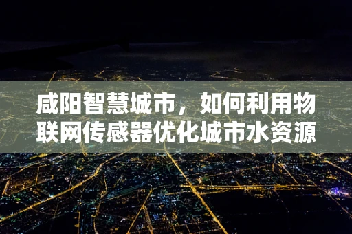咸阳智慧城市，如何利用物联网传感器优化城市水资源管理？