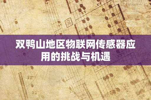 双鸭山地区物联网传感器应用的挑战与机遇