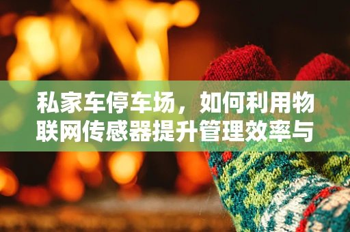 私家车停车场，如何利用物联网传感器提升管理效率与安全性？