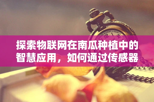 探索物联网在南瓜种植中的智慧应用，如何通过传感器优化南瓜生长环境？
