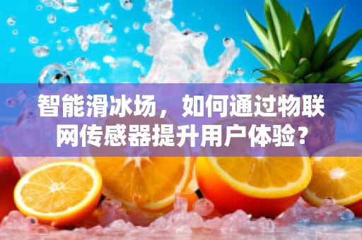 智能滑冰场，如何通过物联网传感器提升用户体验？