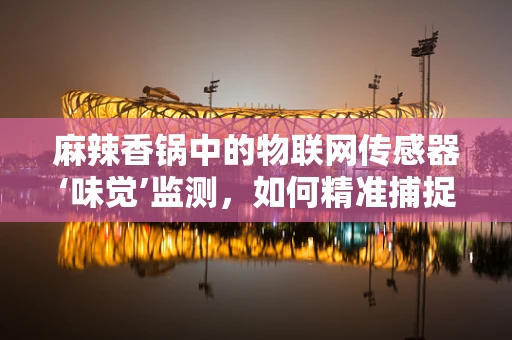 麻辣香锅中的物联网传感器‘味觉’监测，如何精准捕捉每一份鲜香？