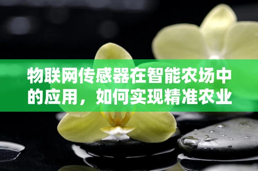 物联网传感器在智能农场中的应用，如何实现精准农业？