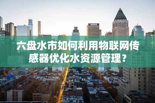 六盘水市如何利用物联网传感器优化水资源管理？