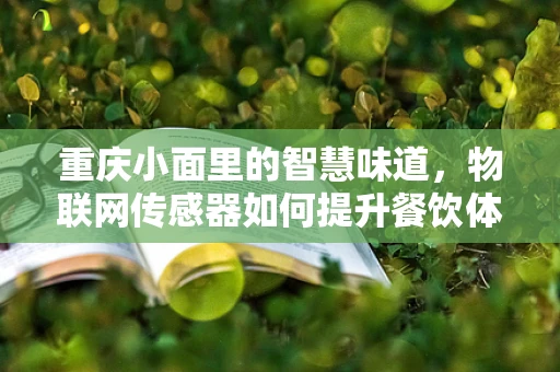 重庆小面里的智慧味道，物联网传感器如何提升餐饮体验？