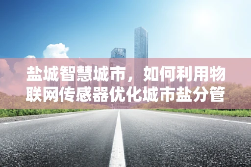盐城智慧城市，如何利用物联网传感器优化城市盐分管理？