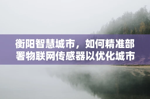 衡阳智慧城市，如何精准部署物联网传感器以优化城市管理？