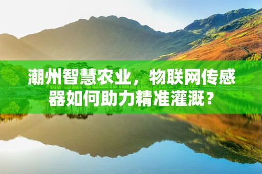 潮州智慧农业，物联网传感器如何助力精准灌溉？