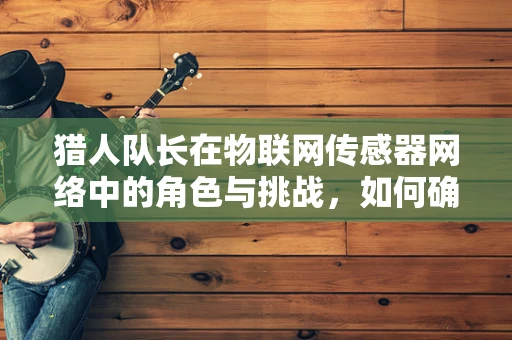 猎人队长在物联网传感器网络中的角色与挑战，如何确保精准指挥与决策？