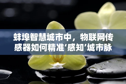 蚌埠智慧城市中，物联网传感器如何精准‘感知’城市脉动？
