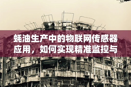 蚝油生产中的物联网传感器应用，如何实现精准监控与高效管理？