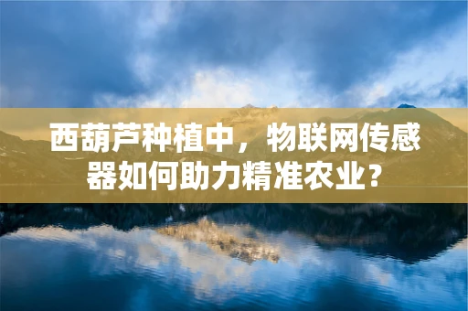 西葫芦种植中，物联网传感器如何助力精准农业？