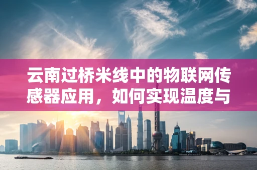 云南过桥米线中的物联网传感器应用，如何实现温度与安全的智能监控？