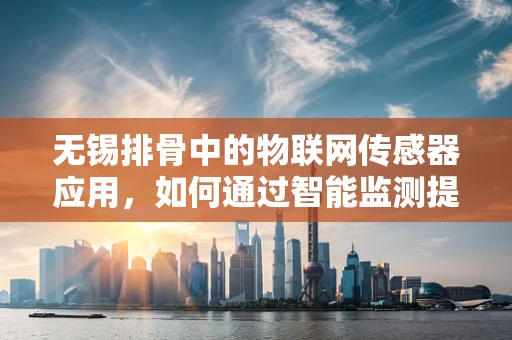 无锡排骨中的物联网传感器应用，如何通过智能监测提升食品安全？