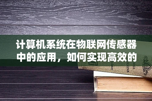 计算机系统在物联网传感器中的应用，如何实现高效的数据处理与传输？