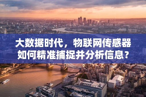 大数据时代，物联网传感器如何精准捕捉并分析信息？