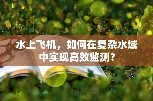 水上飞机，如何在复杂水域中实现高效监测？