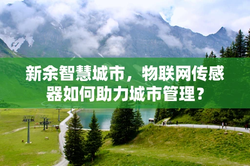 新余智慧城市，物联网传感器如何助力城市管理？