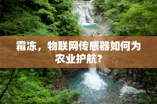霜冻，物联网传感器如何为农业护航？