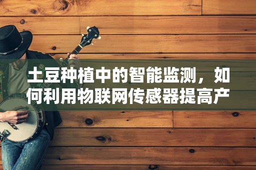 土豆种植中的智能监测，如何利用物联网传感器提高产量？
