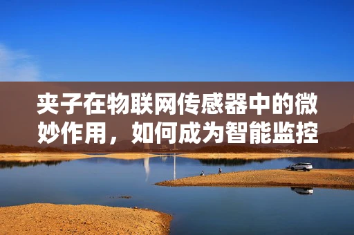 夹子在物联网传感器中的微妙作用，如何成为智能监控的隐形英雄？
