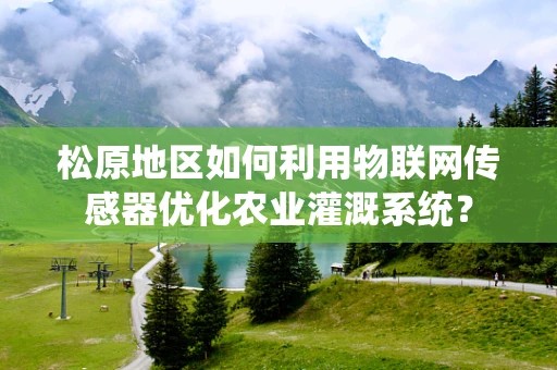 松原地区如何利用物联网传感器优化农业灌溉系统？