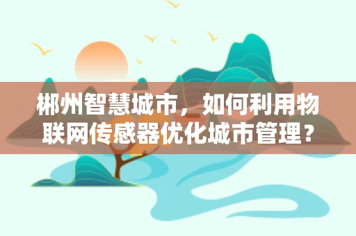 郴州智慧城市，如何利用物联网传感器优化城市管理？