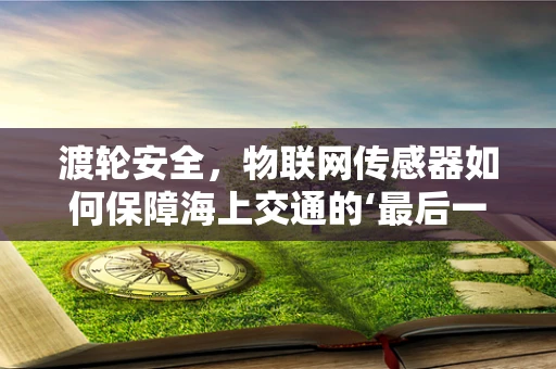 渡轮安全，物联网传感器如何保障海上交通的‘最后一公里’？