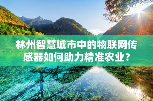 林州智慧城市中的物联网传感器如何助力精准农业？