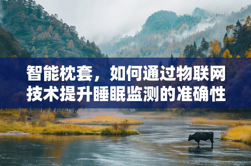 智能枕套，如何通过物联网技术提升睡眠监测的准确性？